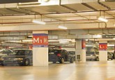 Basement Signs